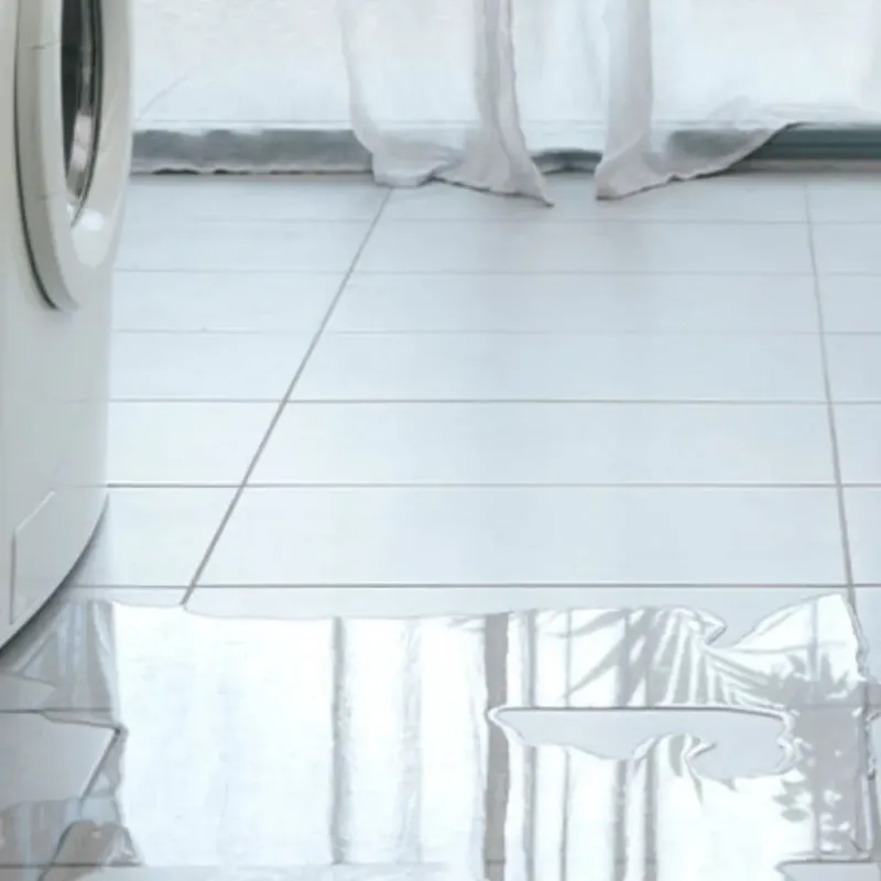 Appliance Leak Cleanup in Brookside, AL