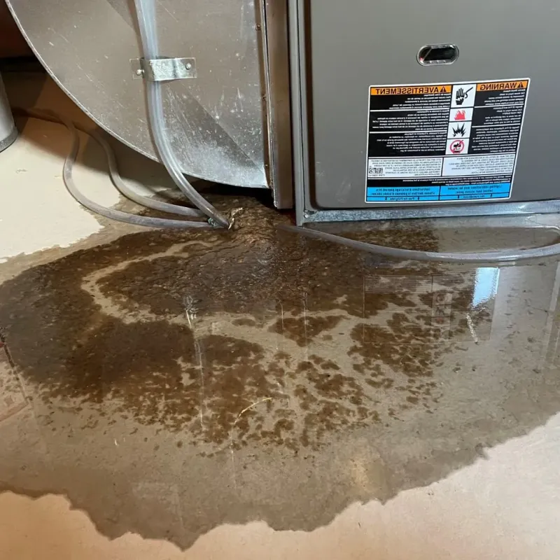Pipe Burst and Leak Restoration in Brookside, AL