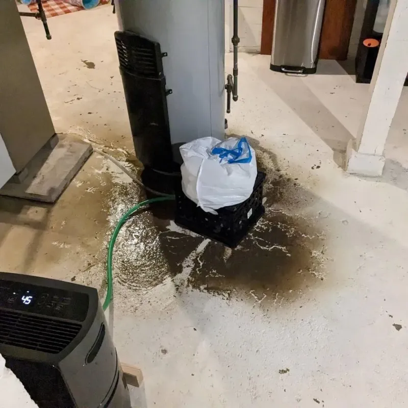 Sewage Backup Cleanup Service in Brookside, AL